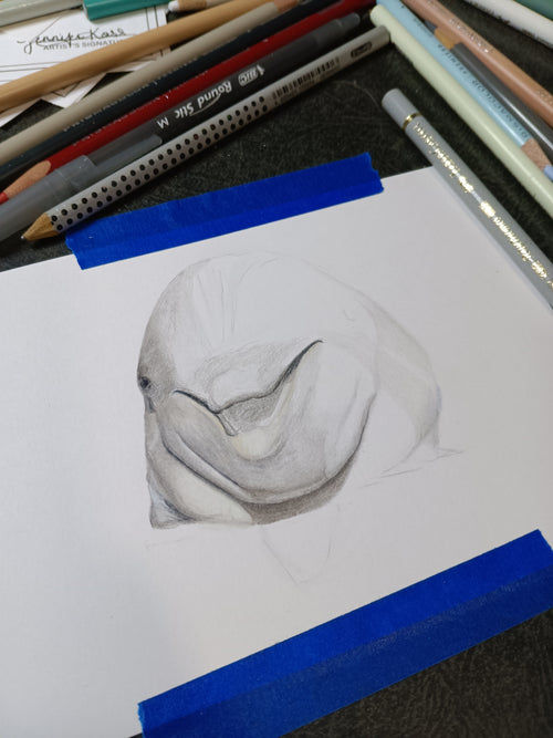 "BLUE" - 9"H x 12"W colored pencil on paper