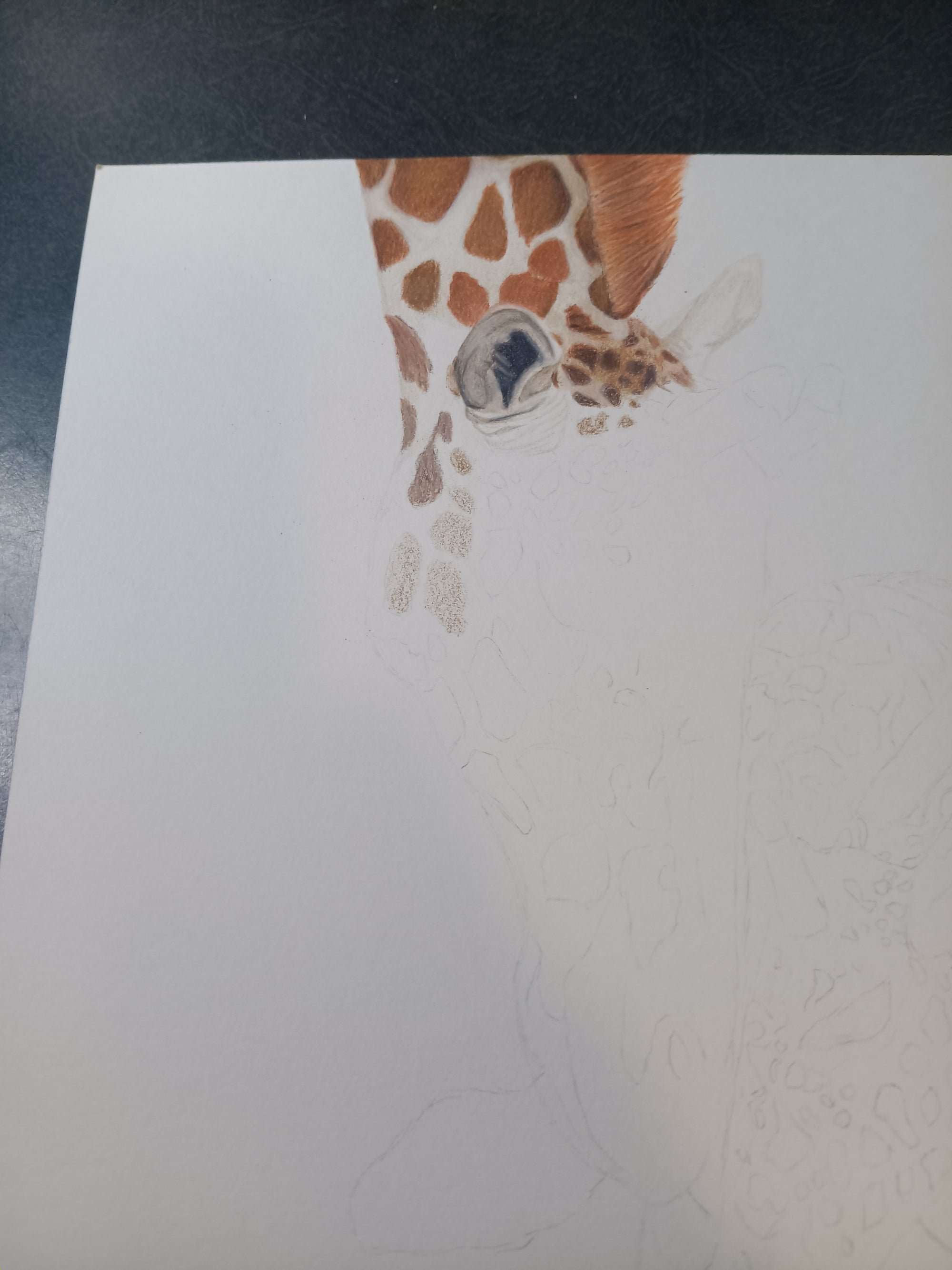 "MOMMA AND BABY" 9"H x 12"W colored pencil on paper