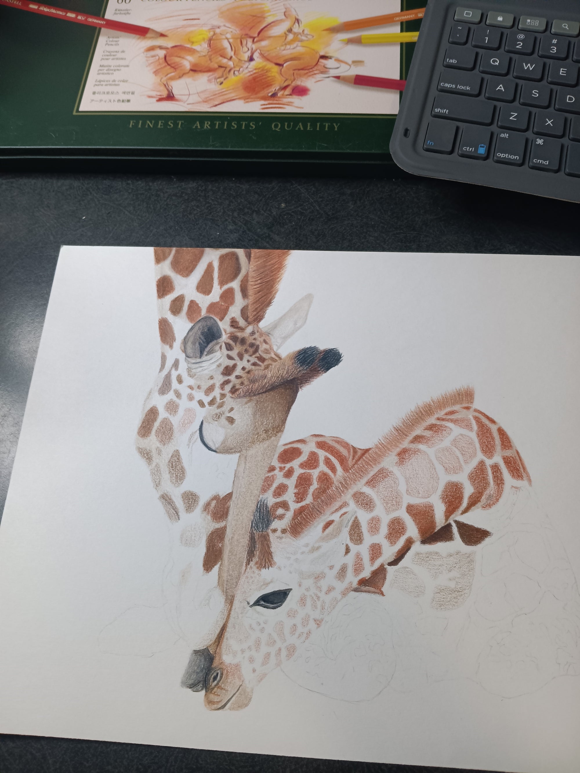 "MOMMA AND BABY" 9"H x 12"W colored pencil on paper