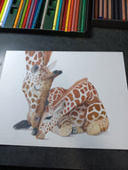 "MOMMA AND BABY" 9"H x 12"W colored pencil on paper