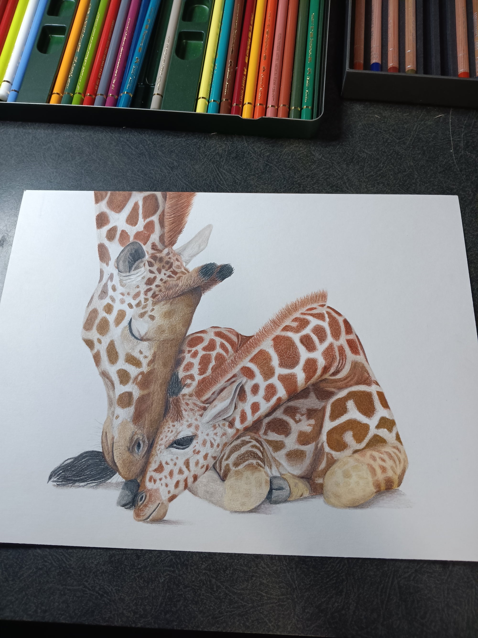 "MOMMA AND BABY" 9"H x 12"W colored pencil on paper