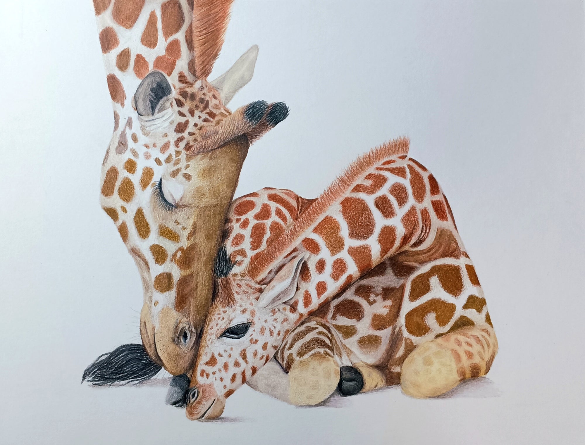 "MOMMA AND BABY" 9"H x 12"W colored pencil on paper