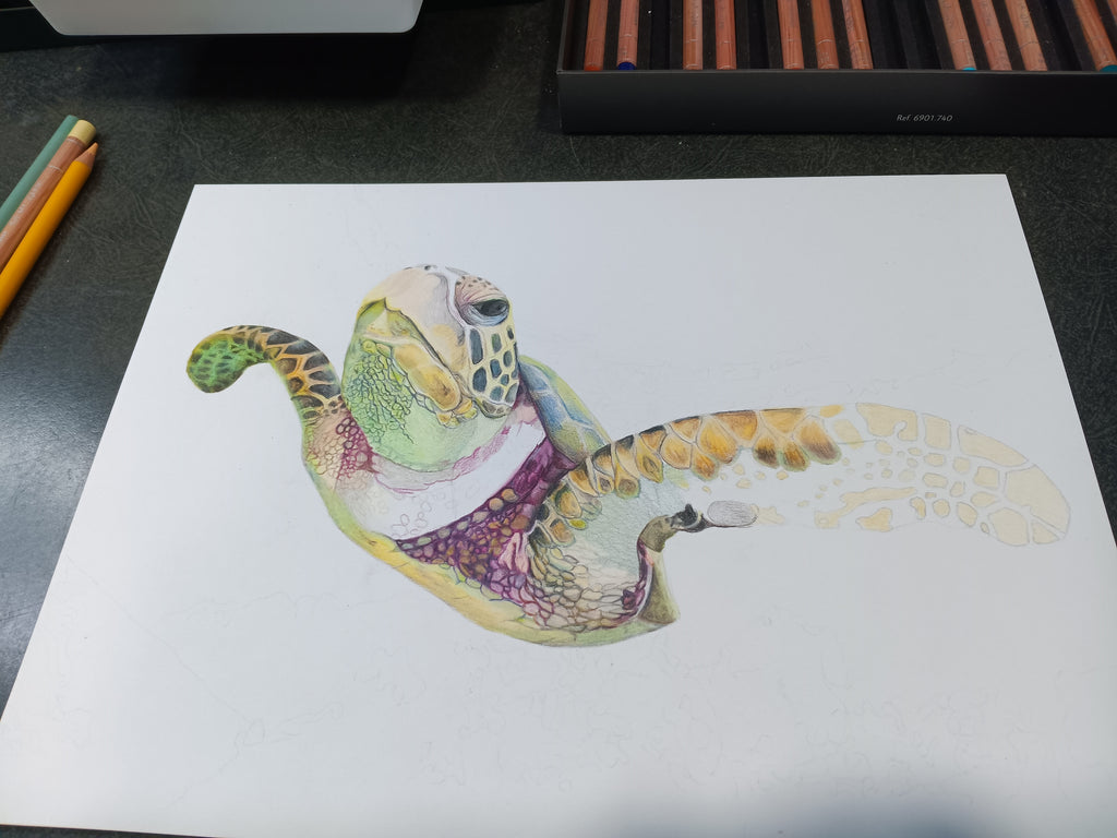 "THE HARE'S TURTLE" 9"H x 12"W colored pencil on paper