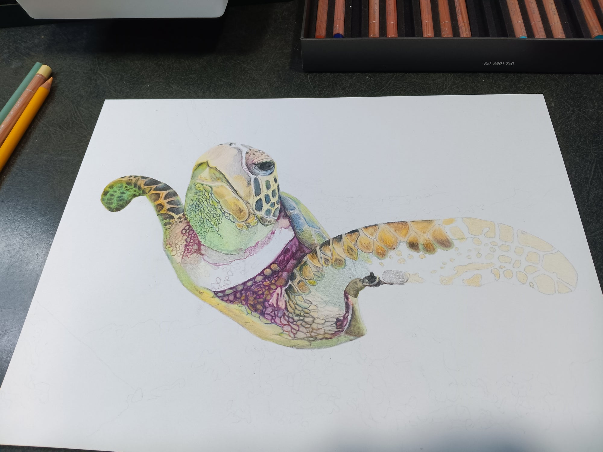 "THE HARE'S TURTLE" 9"H x 12"W colored pencil on paper