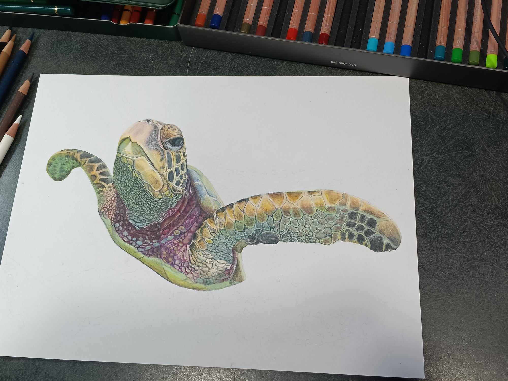 "THE HARE'S TURTLE" 9"H x 12"W colored pencil on paper