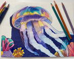 "RAINBOW JELLY" 9"H x 12"W colored pencil on paper
