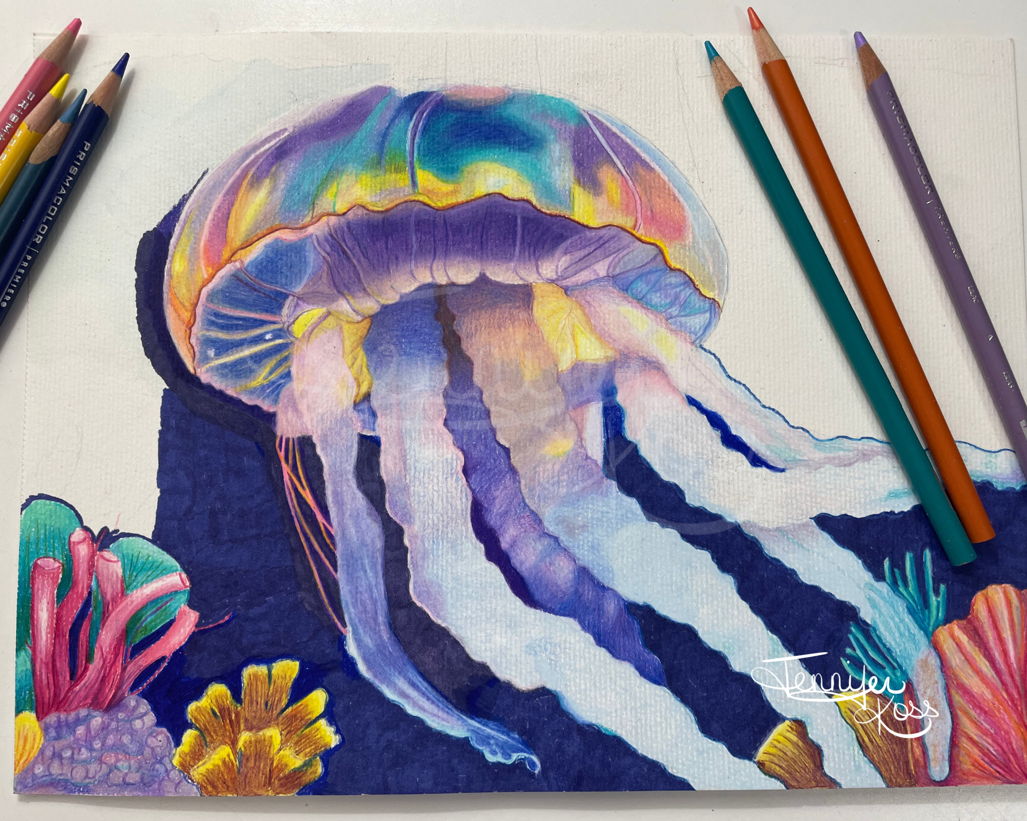 "RAINBOW JELLY" 9"H x 12"W colored pencil on paper