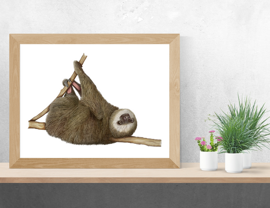 SLEEPY SLOTH