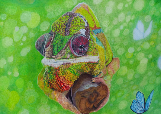CHAMELEON CLOSEUP