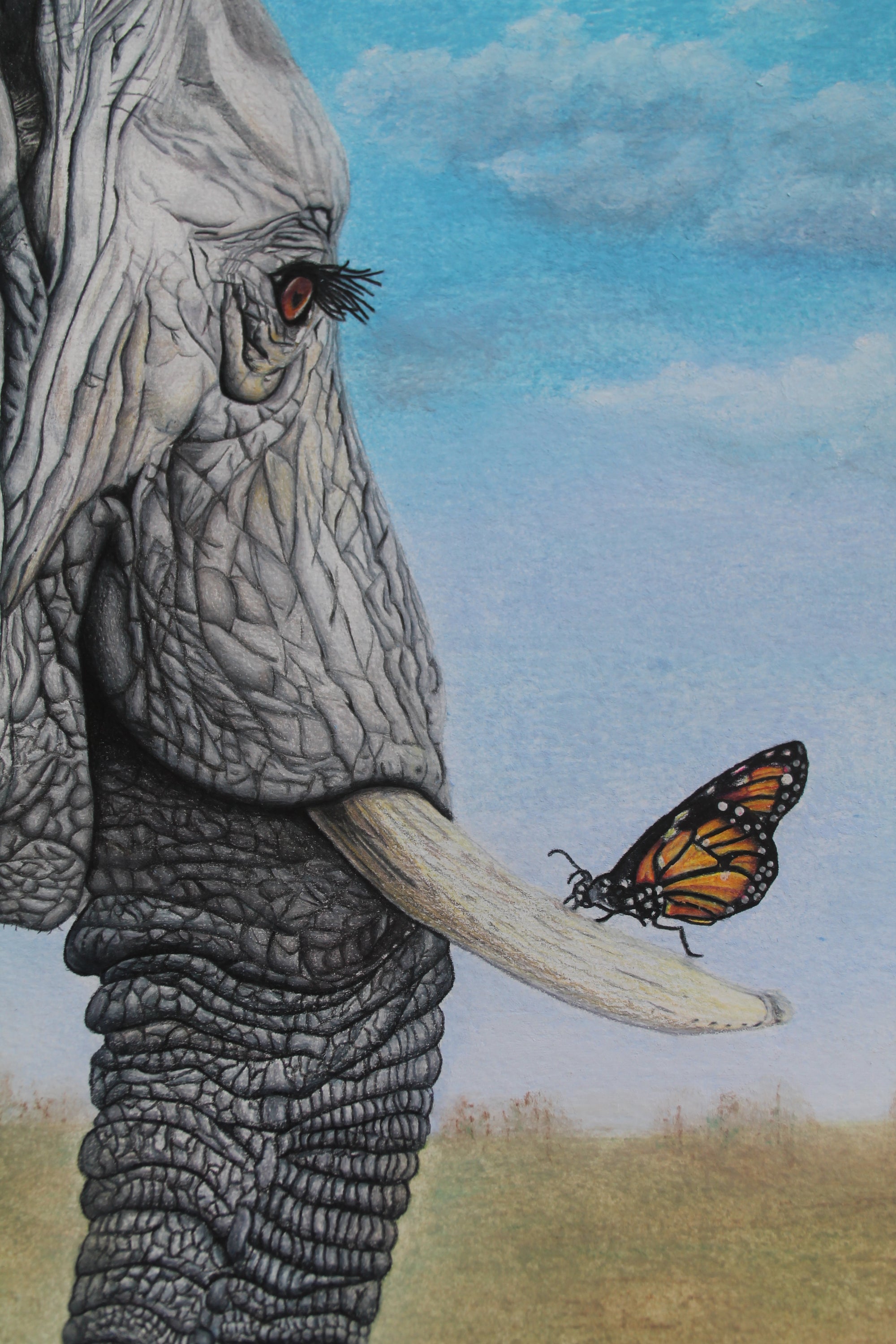 "HELLO FRIEND" 9"W x 12"H colored pencil on paper