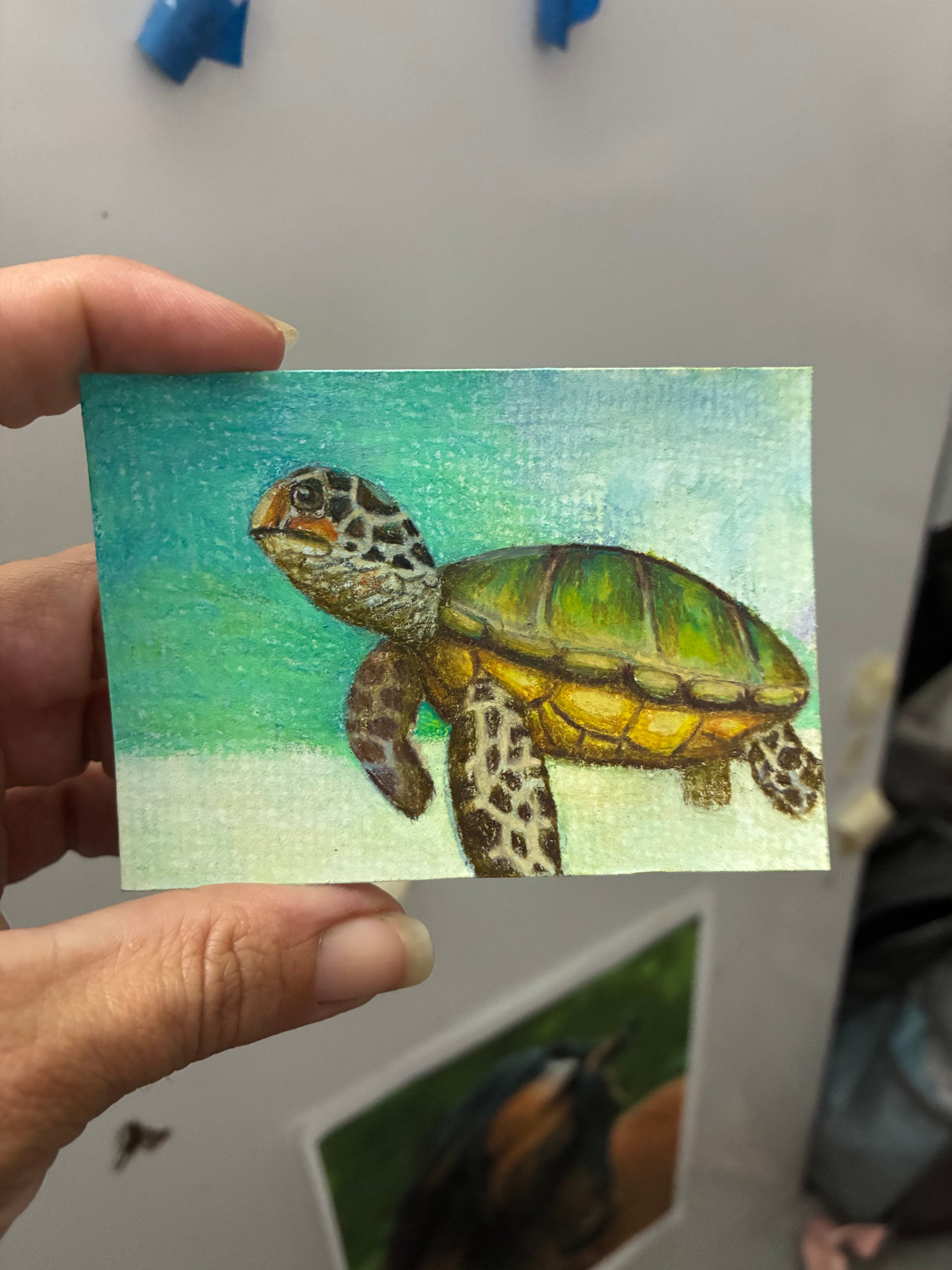 "SIMPLY SEA TURTLE" - ACEO 2.5"H x 3.5"W watercolor/colored pencil on paper