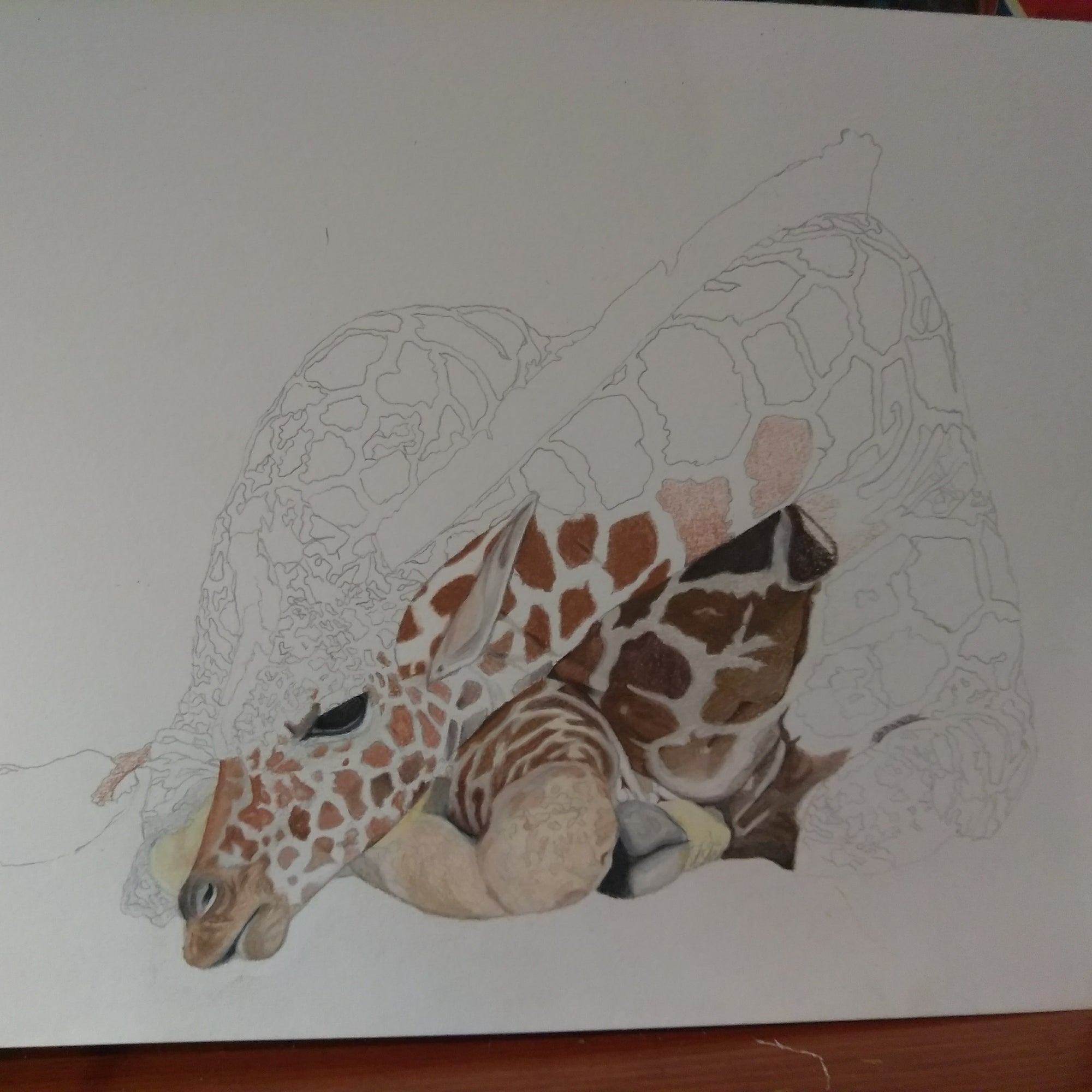 "JUST FIVE MINUTES" 9"H x 12"W colored pencil on paper