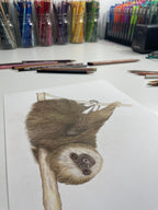"SLEEPY SLOTH" 9"H x 12"W colored pencil on paper