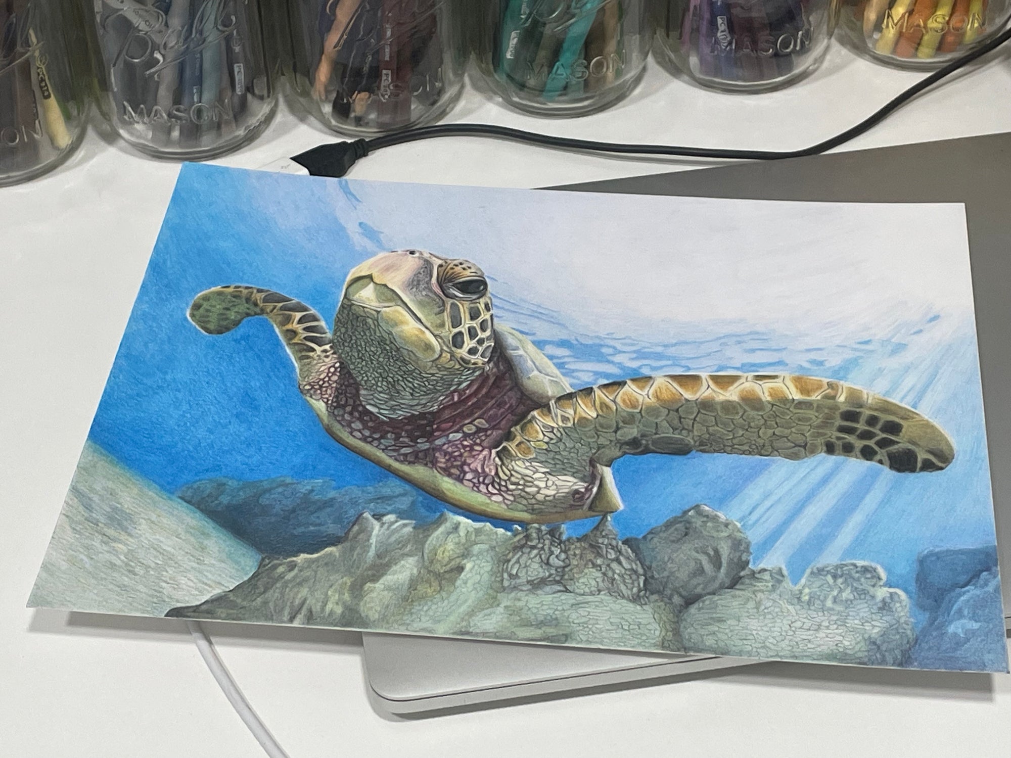 "THE HARE'S TURTLE" 9"H x 12"W colored pencil on paper