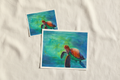 Solo Swim fine art print flat-lay showing 5x7 and 8x10 landscape sizes